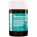 Herboxa Probiotic 60 Billion | Food Supplement